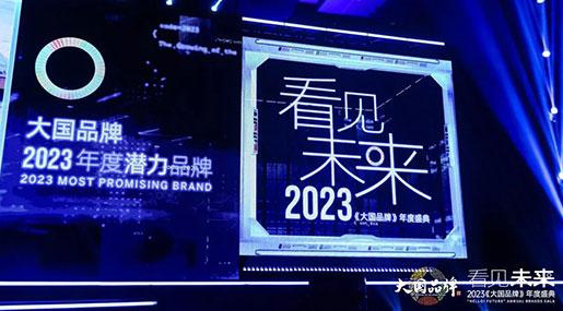 王者瓷磚榮獲2023大國品牌【年度潛力品牌】榮譽